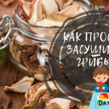 Jak sušit houby doma